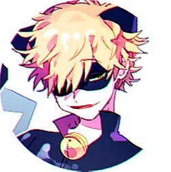 Chat Noir from Miraculous Ladybug